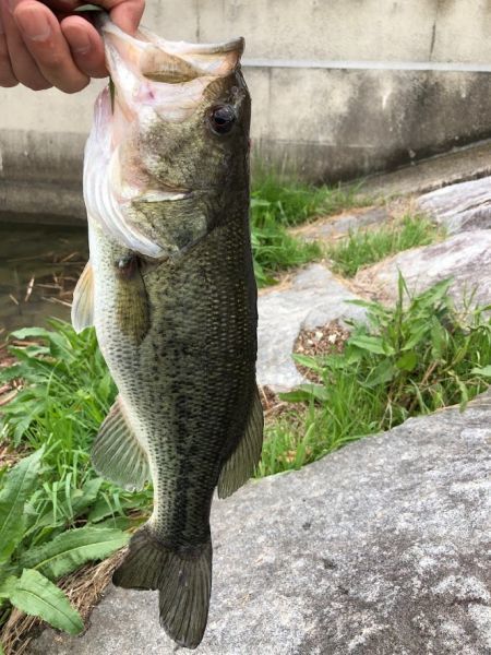 20190914-007.jpg